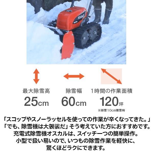 楽天市場】【25日は！枚数限定 最大1,000円OFFクーポン】【法人様限定