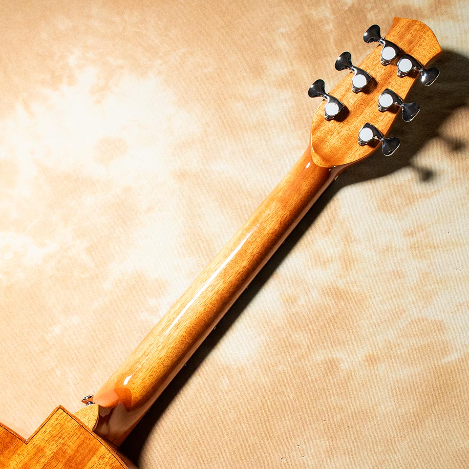 楽天市場】aNueNue/aNN-LF23E : 宮地楽器 ららぽーと立川立飛店