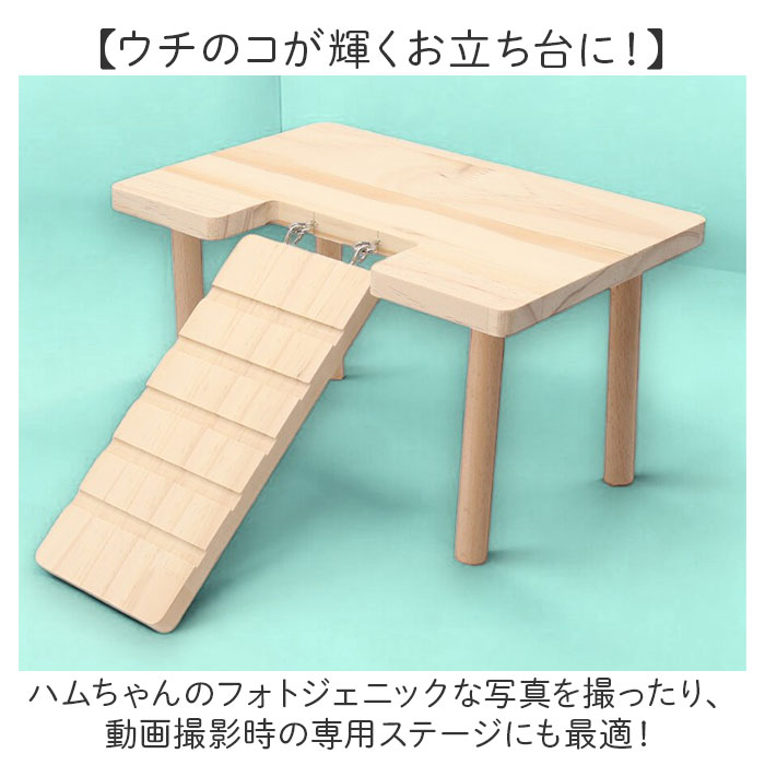 楽天市場】ハムスター ロフト 楽天 遊び台 遊び場 ハムスターロフト