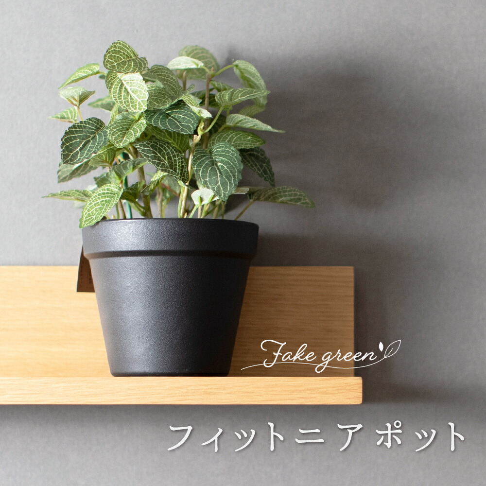 楽天市場】[25日限定ポイント10倍20〜24時] フェイクグリーン ミニ