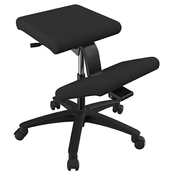 楽天市場】＼ポイント5倍／ バランスウィング ブラック バランスチェア