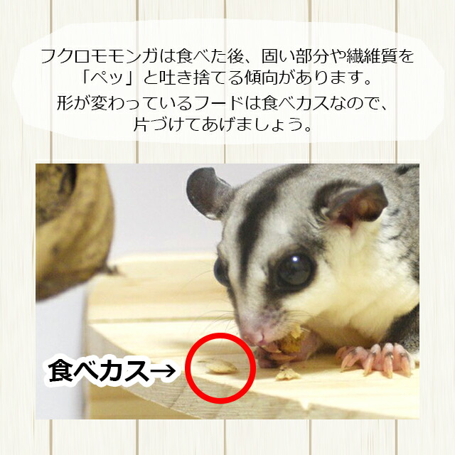 楽天市場】SANKO フクロモモンガフード 300g 三晃商会 サンコー