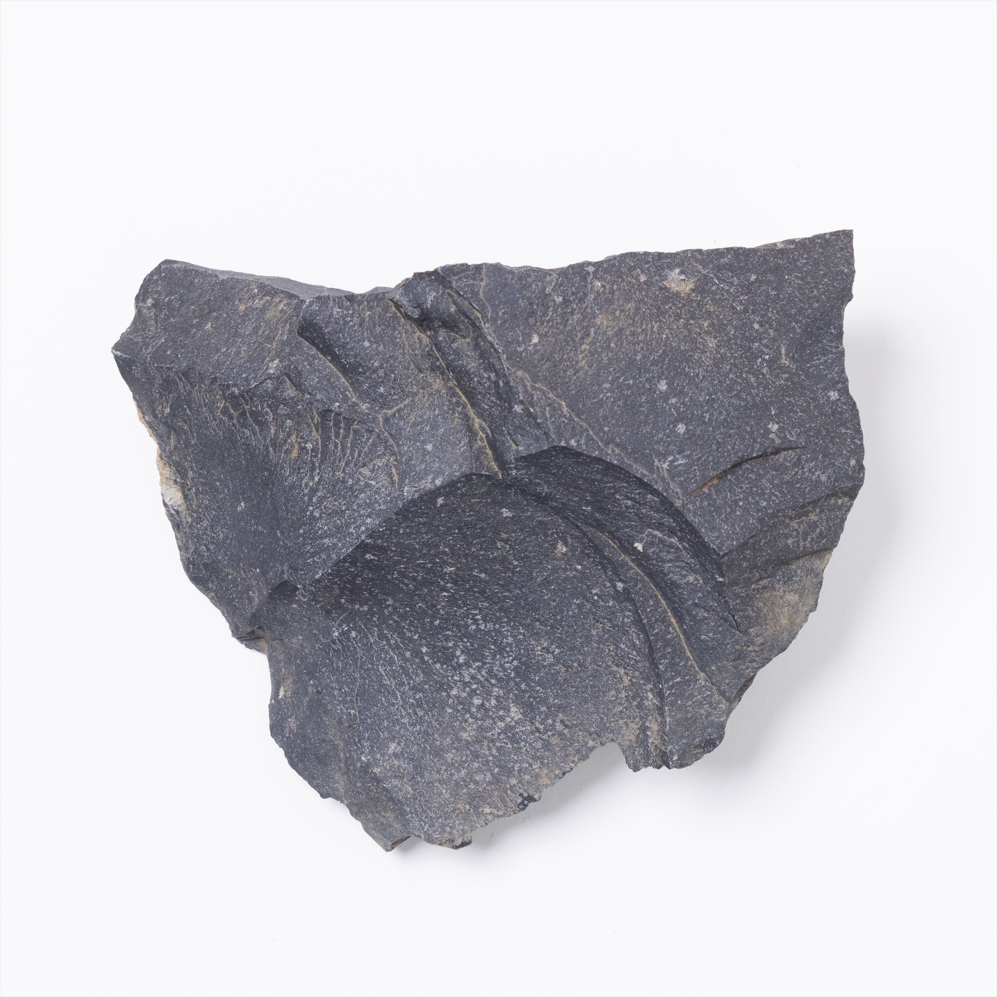 楽天市場】サヌカイト 讃岐石 カンカン石 約2kg 特大 石器材料 標本