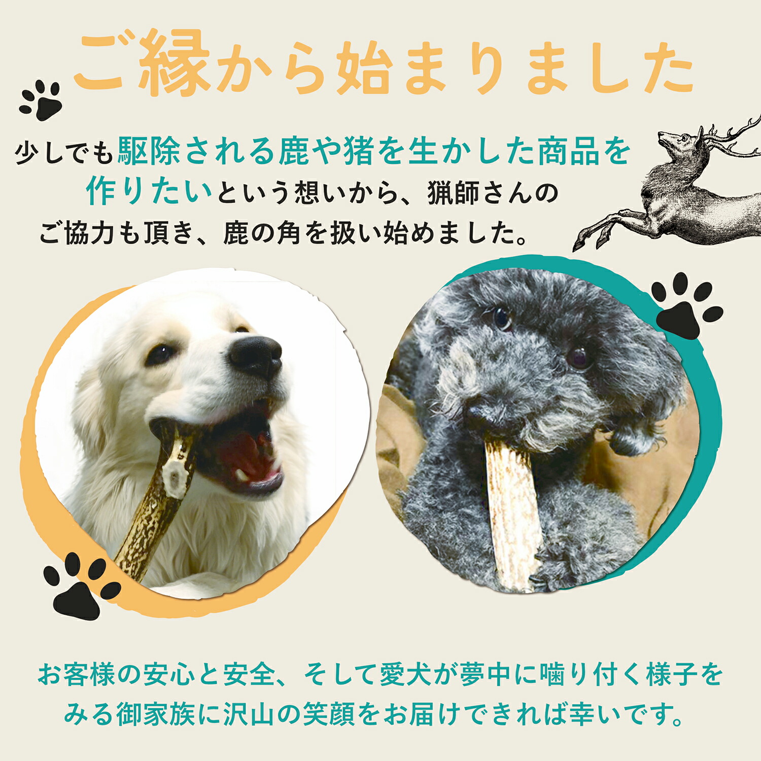 楽天市場】【 15cm 四つ割り 中型犬 】 鹿の角 犬 おもちゃ 犬用 しか