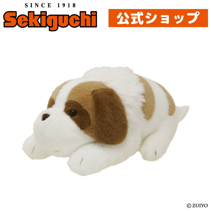 楽天市場】ヨーゼフ Lサイズよーぜふ セントバーナード いぬ 犬