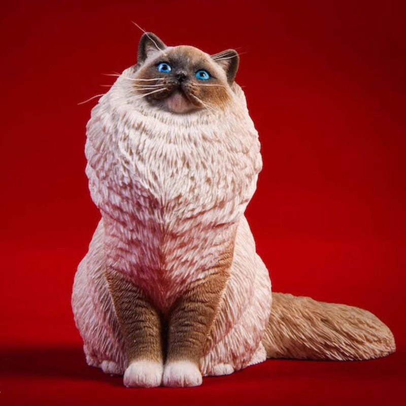 楽天市場】JXK 029 1/6 布偶猫 : 莫属フィギュア