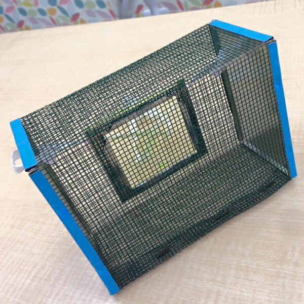 楽天市場】蛍籠 虫かご 飼育容器 （ほたるかご 蛍かご レトロ ブリキ