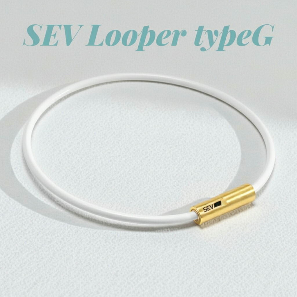 楽天市場】【SEV セブ ルーパータイプG サイズ54cm カラーブラック