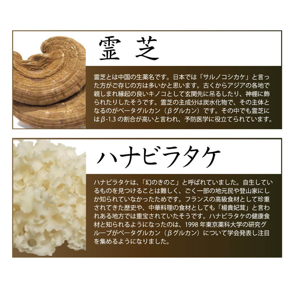 楽天市場】冬虫夏草GX（サプリメント） 約30日分 国内製造 ビタミンB群