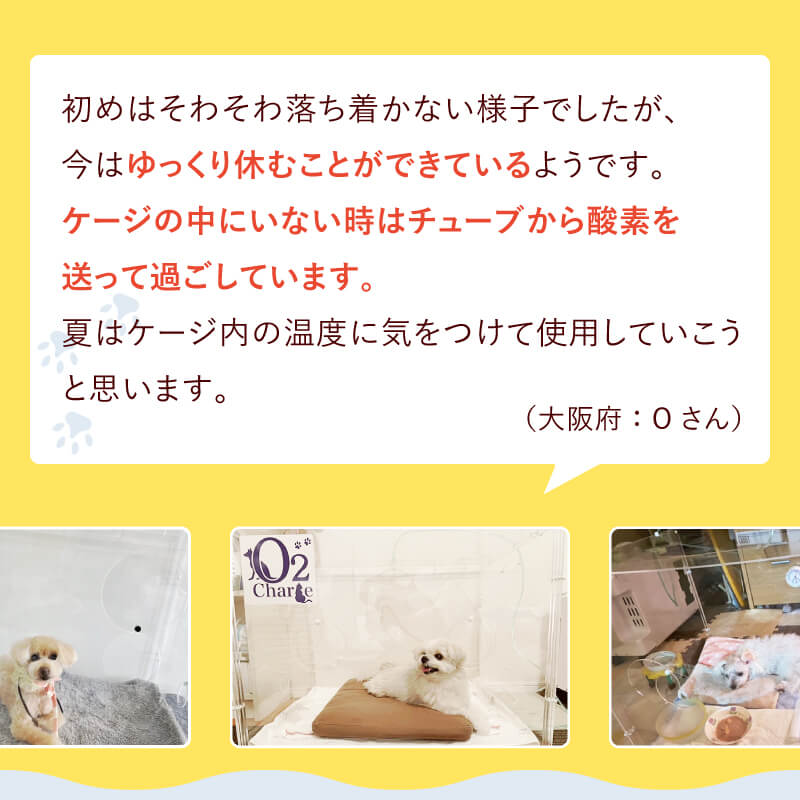 楽天市場】オーツーペット ペット 酸素室 酸素濃縮器 専用ケージ 酸素
