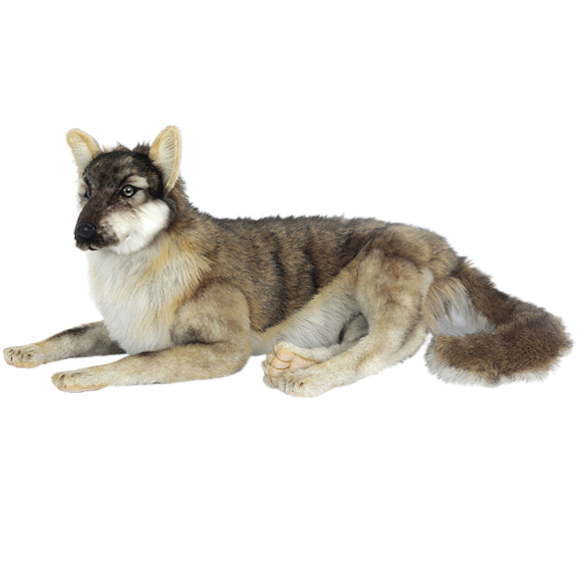 楽天市場】ハンサ【HANSA】リアルぬいぐるみ オオカミ66 : ナチュラル