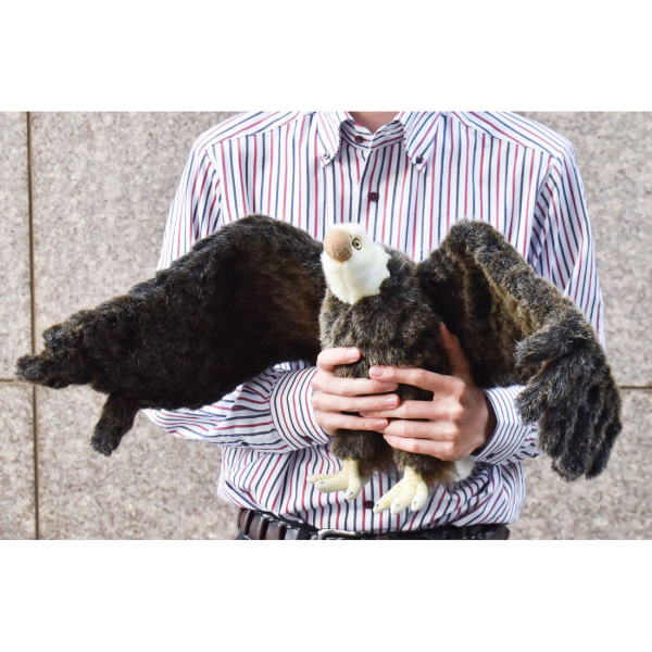 楽天市場】ハンサ【HANSA】リアルぬいぐるみハクトウワシ 70cm