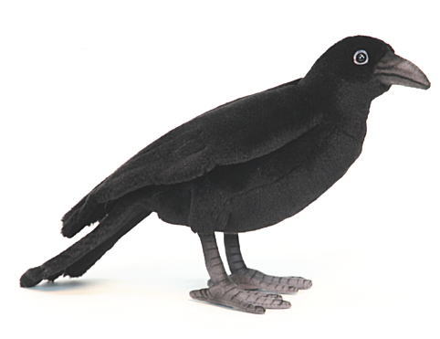 楽天市場】ハンサ【HANSA】リアルぬいぐるみ カラス31cm : ナチュラル