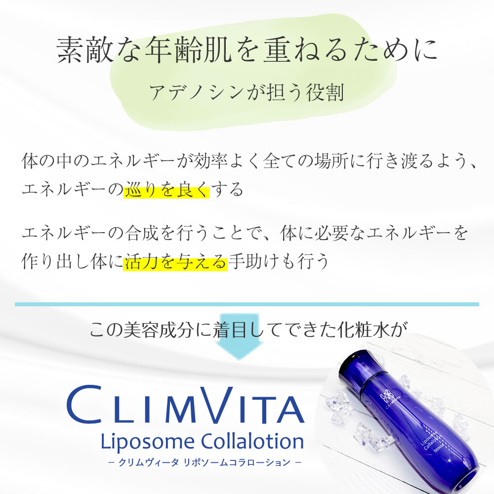 collalotion-3.jpg