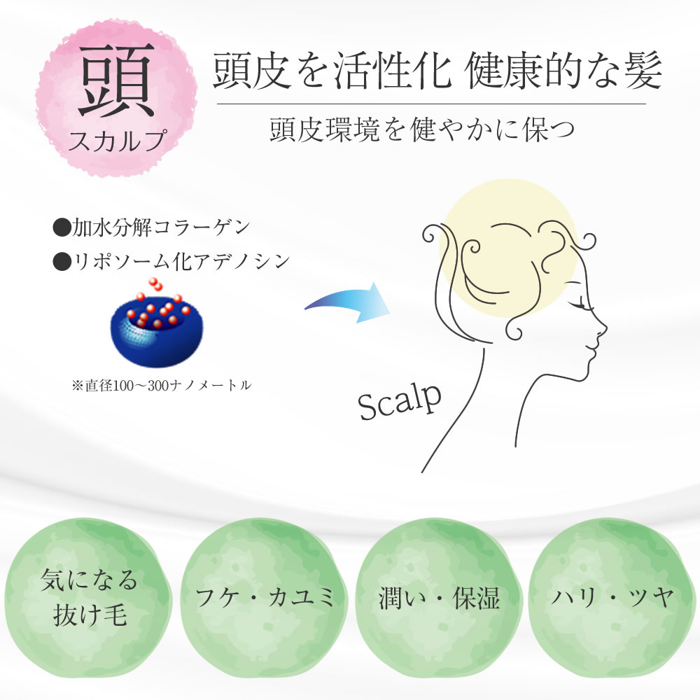 楽天市場】【3月ずっとP5倍！】【正規販売代理店】 クリムヴィータ