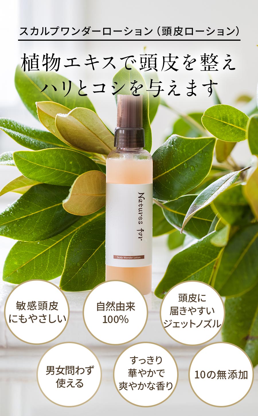 楽天市場】[オーガニック 頭皮ローション]Natures for スカルプ