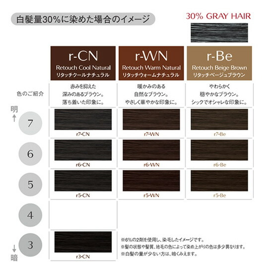 楽天市場】（在庫限り）資生堂プロフェッショナル ディアニスト エクラ