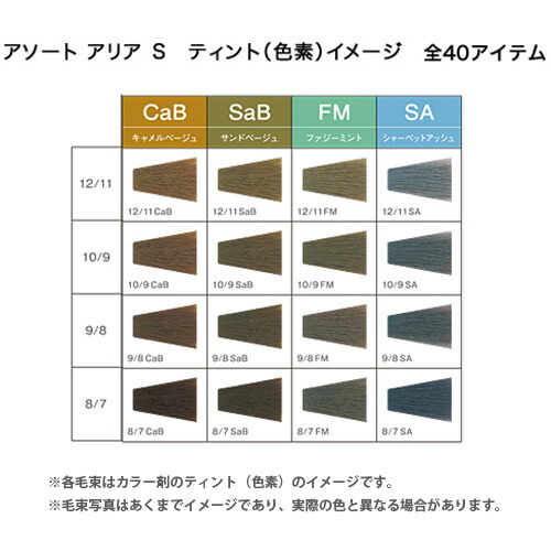 楽天市場】デミ アソート アリア S 第1剤 SA シャーベットアッシュ