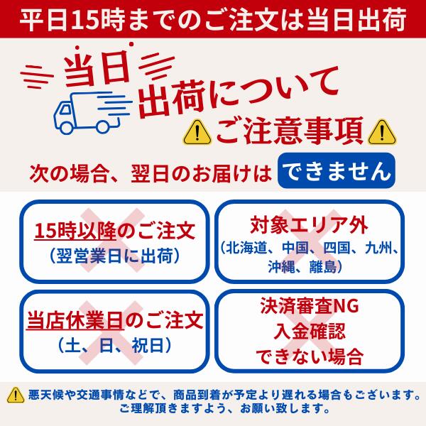 楽天市場】【平日15時まで/当日出荷】大高酵素 エンリッチスーパー
