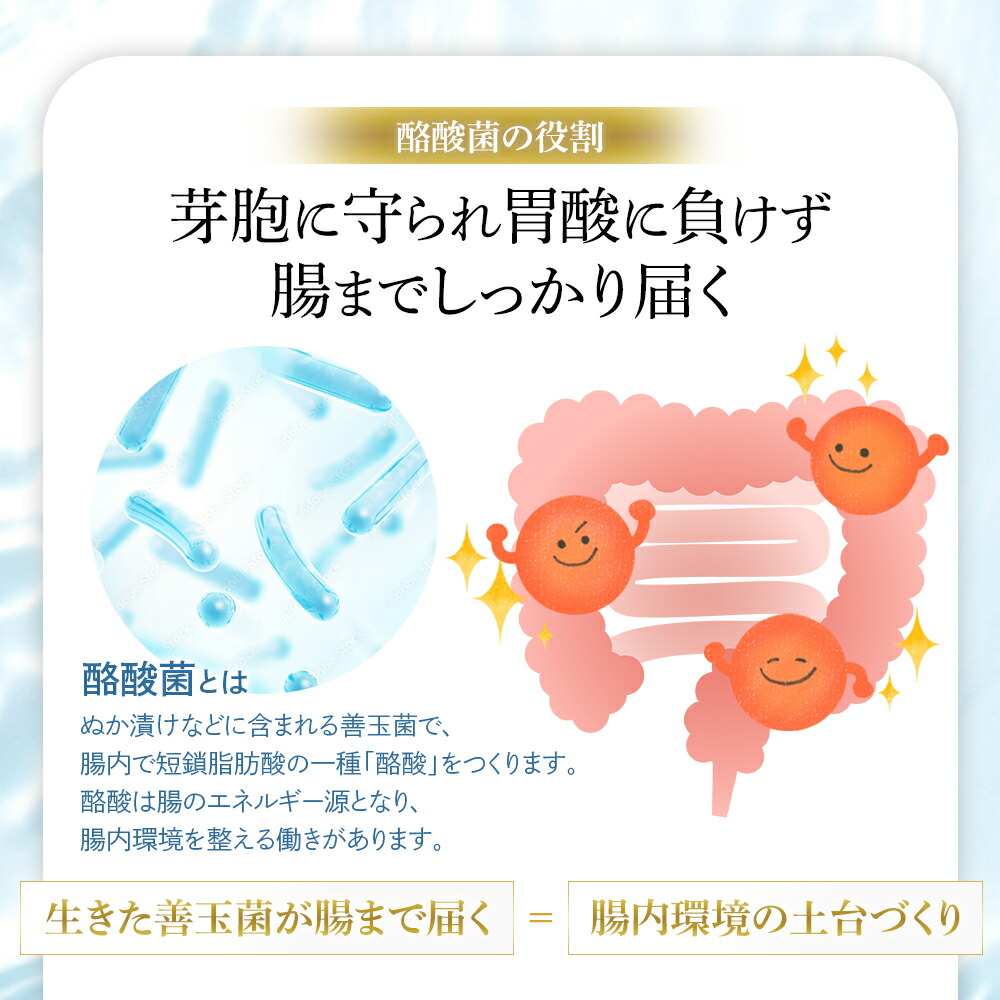 楽天市場】【10%OFFクーポンあり】【公式】ラクビプレミアム 1袋