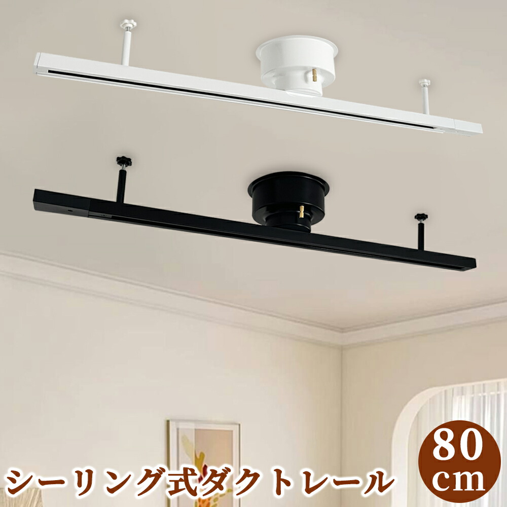 楽天市場】【送料無料】配線ダクトレール 0.8M 一般型 ライティング