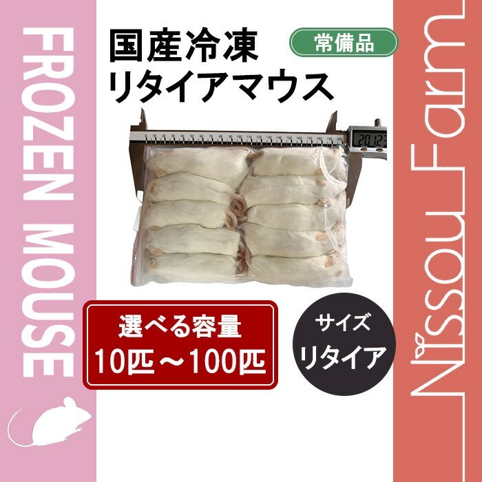 冷凍マウス リタイア 50匹セット 送料無料 冷凍マウス」の人気商品一覧