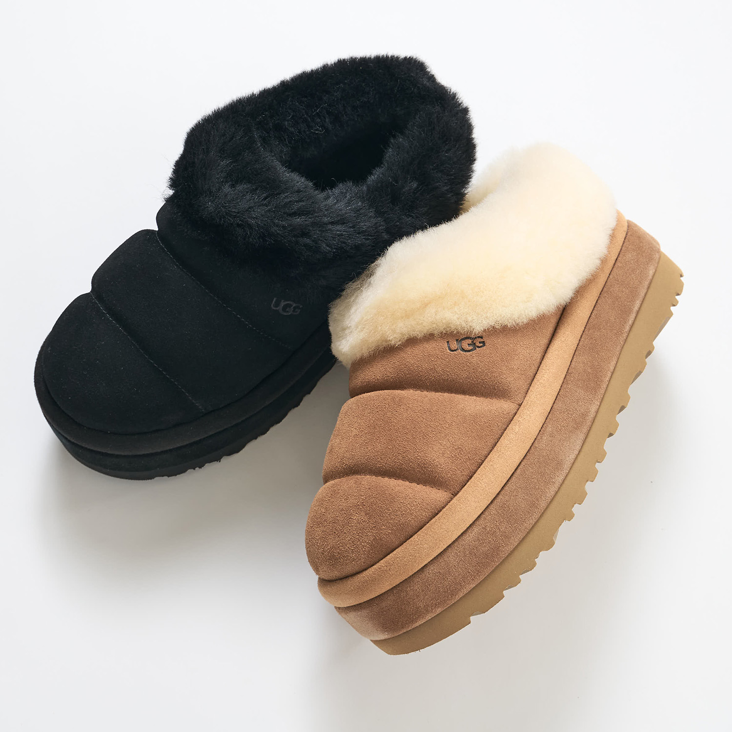 楽天市場】UGG TAZZLITA アグ ムートンブーツ タスマン レディース