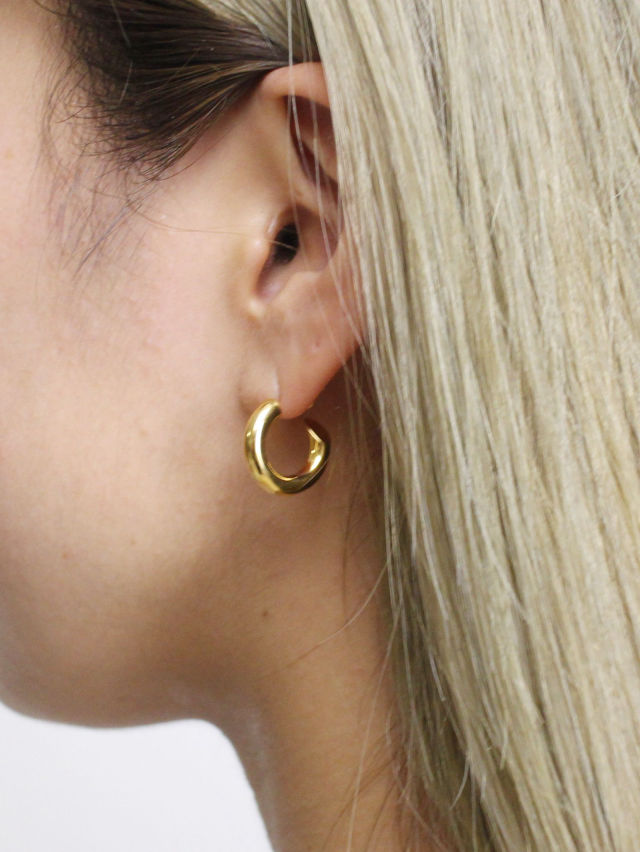 楽天市場】【CAREERING / キャリアリング】 【両耳用】PLACEBO 301F