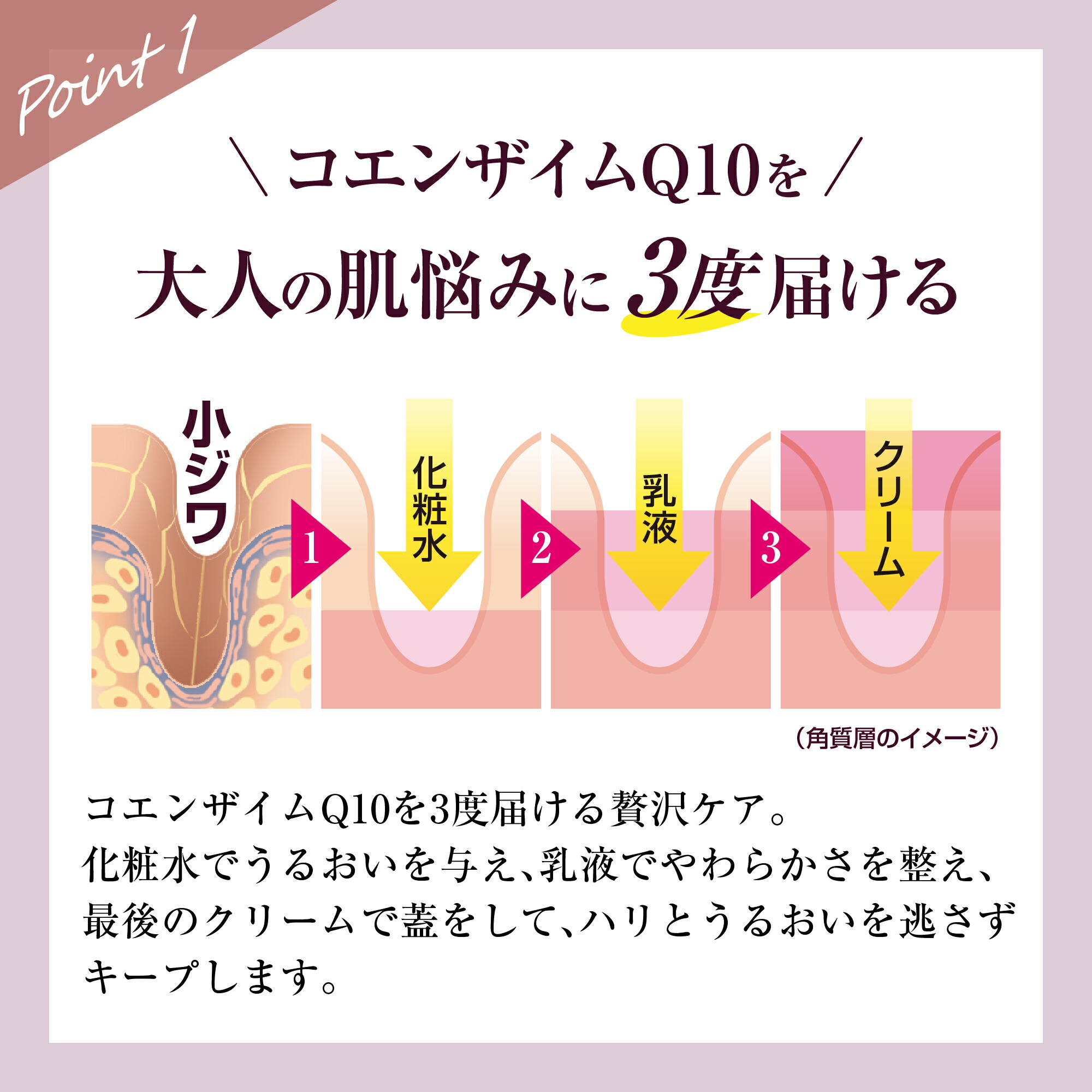 楽天市場】エムキューエイジ スターターキット 3点セット ( ローション