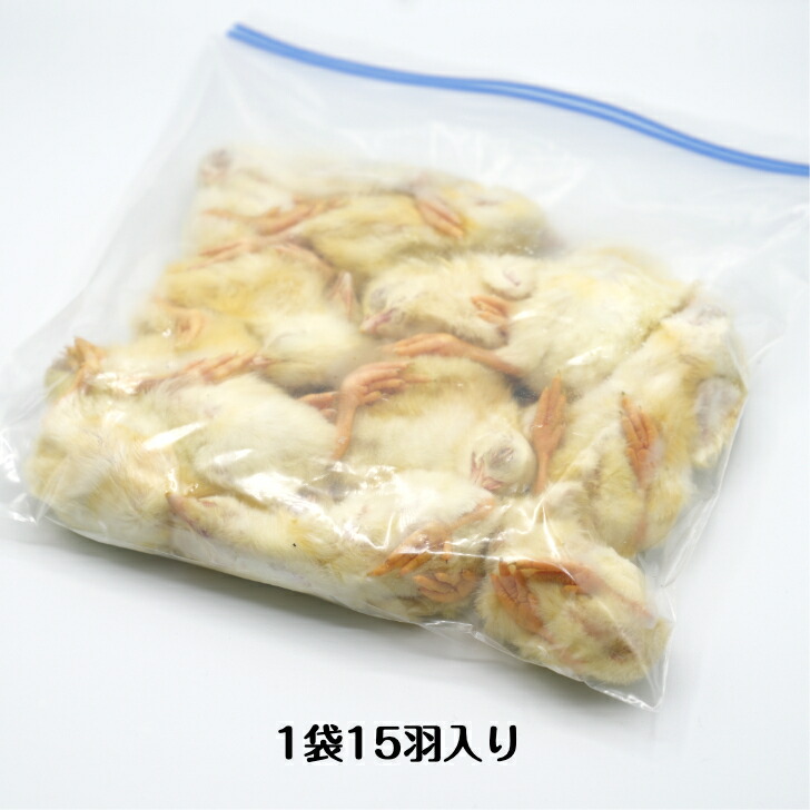楽天市場】【未処理】国産冷凍ヒヨコ105羽 冷凍餌 エサ 猛禽類 爬虫類
