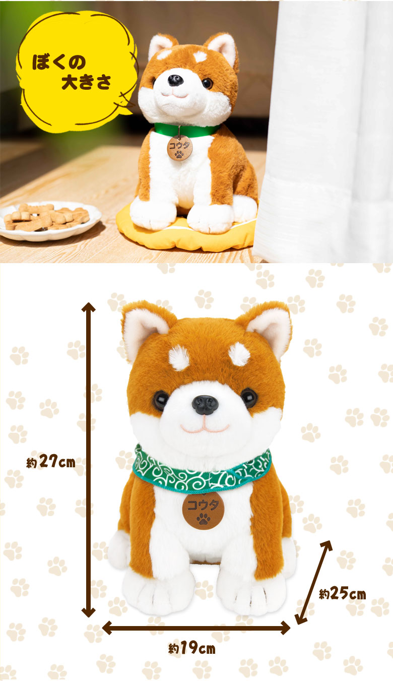 楽天市場】しばいぬコウタ【バンダナ付きセット】 しばいぬこうた 音声