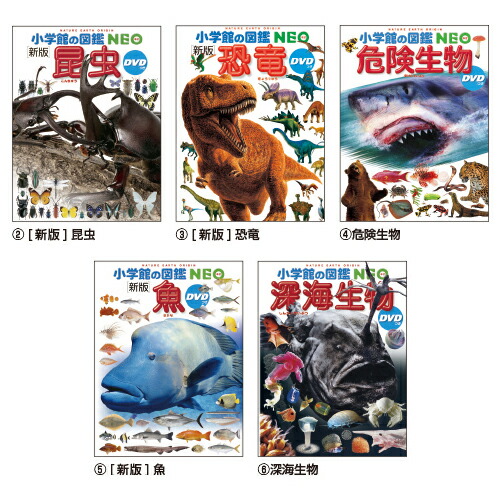 楽天市場】小学館の図鑑NEO (17)きのこｽﾞｶﾝNEOｷﾉｺ【小学館