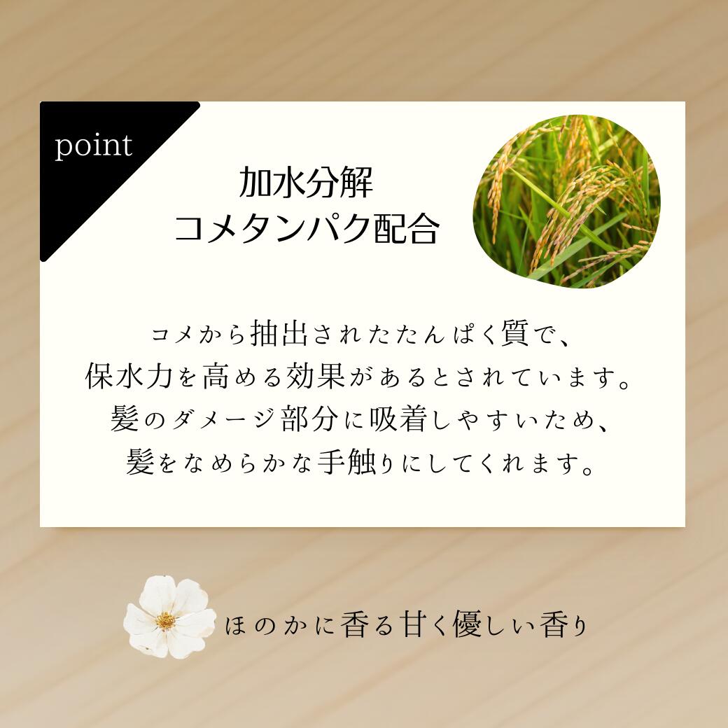 楽天市場】【安心レビュー高評価】 新デザイン ルベル 2本 セット RP