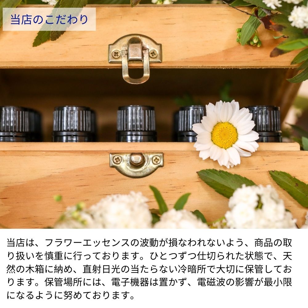 楽天市場】BOOST ブースト 強化 オーストラリアンブッシュ