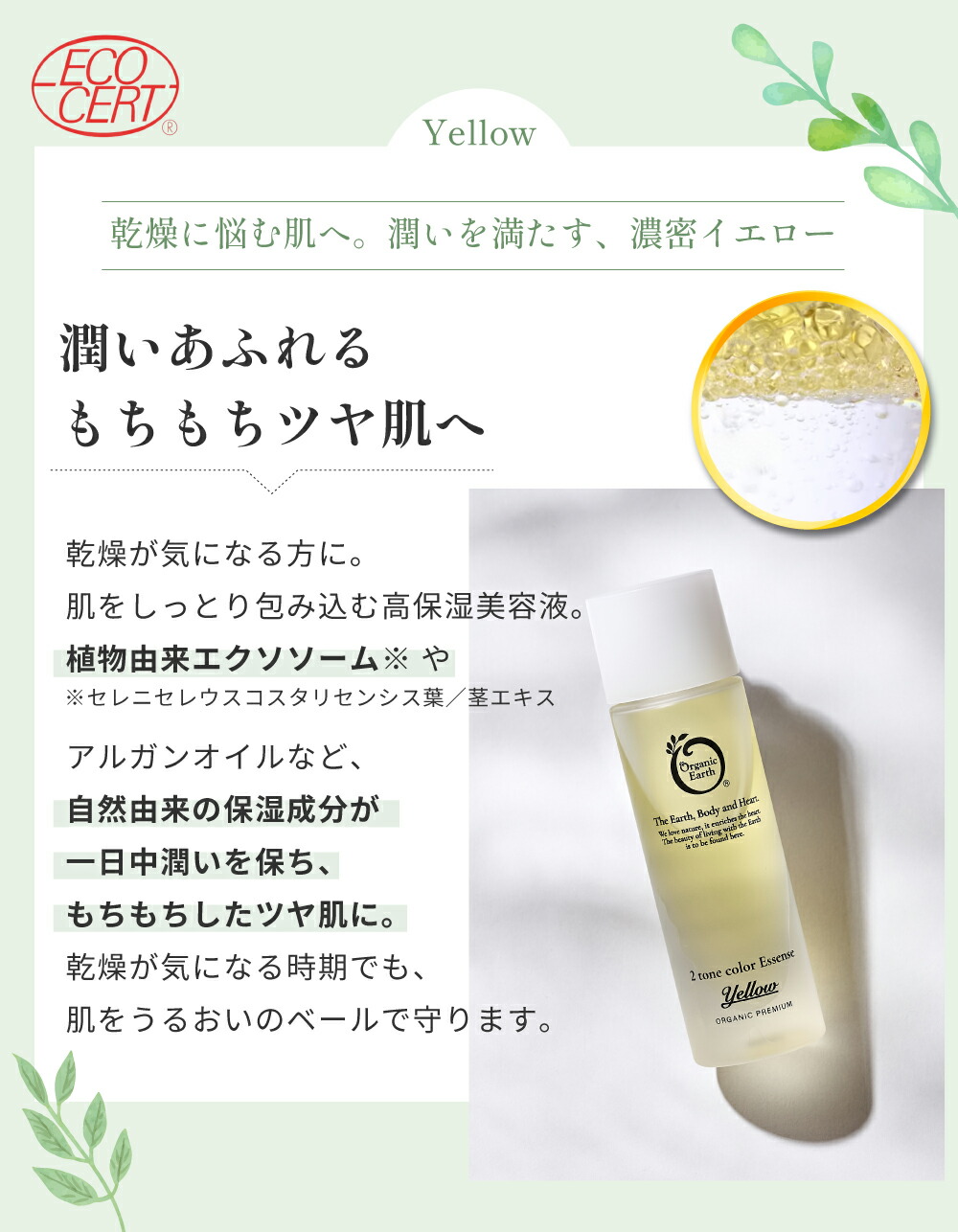 楽天市場】＼なんと69%OFF！！お一人様一回限り1,000円／ 【楽天1位12