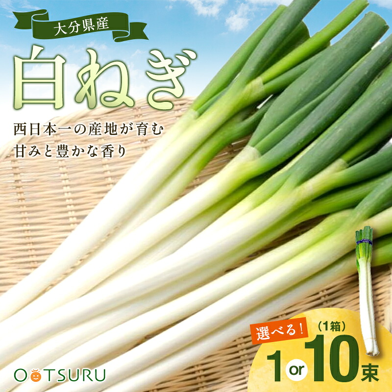 楽天市場】白ねぎ（長ネギ・根深） 1束（2〜3本） / 1箱（約300g×10束