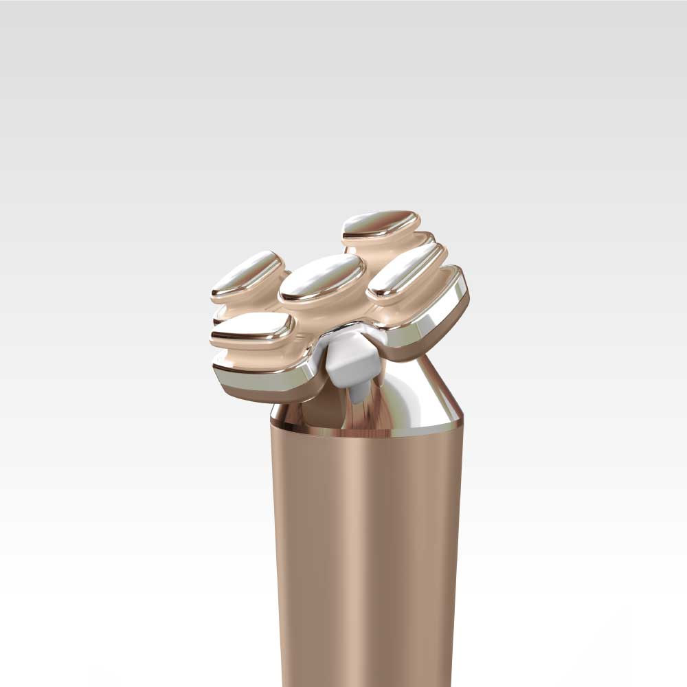 楽天市場】正規販売店！送料無料！ゾーガンキンブルーム EMS マルチ