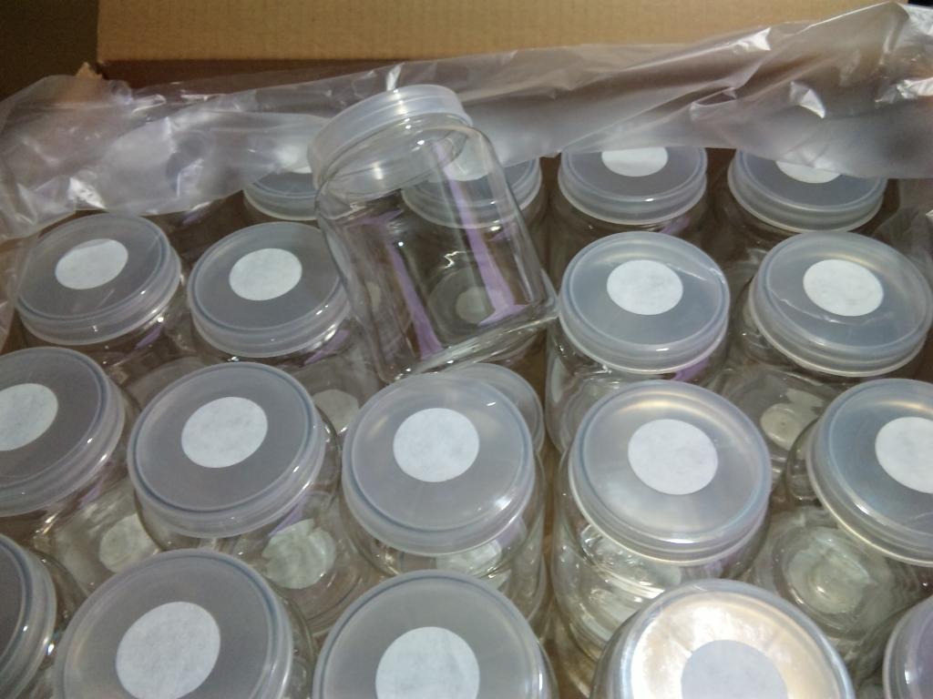 クリアボトル 昆虫 800 飼育ケース」の人気商品一覧 | 安い商品を通販