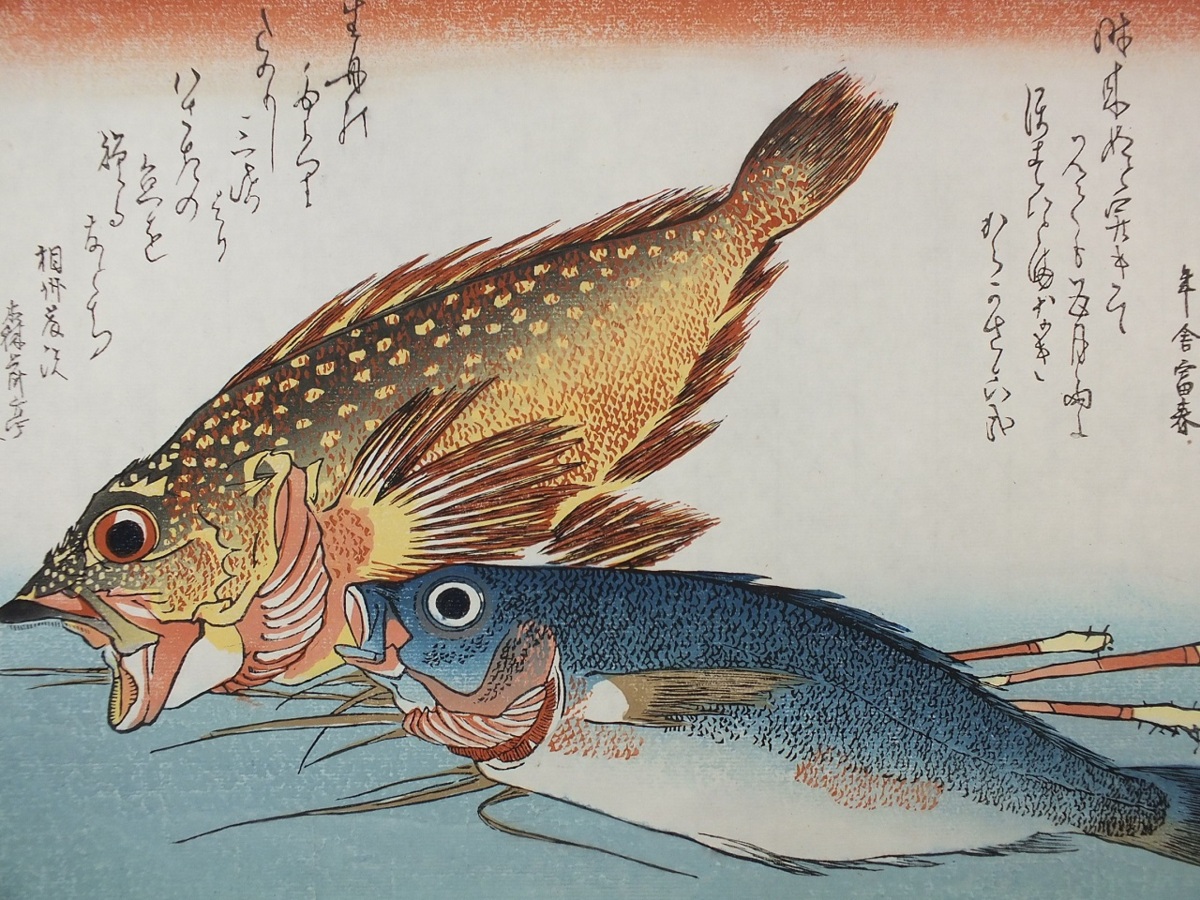 楽天市場】□龍香堂□ 復刻木版浮世絵 歌川広重『魚尽「かさご、いさき