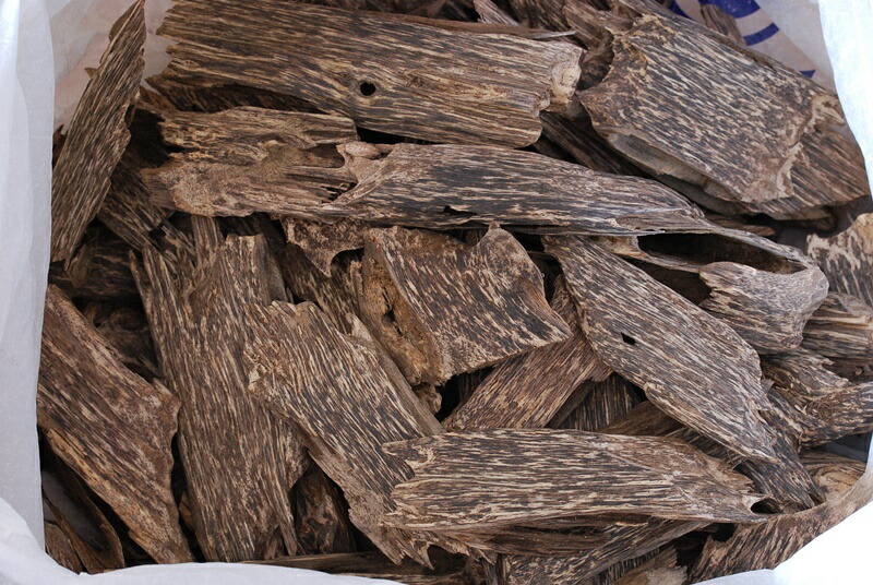 楽天市場】沈香 ベトナム産高級栽培沈香【訳あり中高ランク】100g