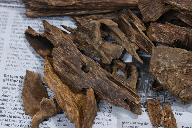 楽天市場】ベトナム産 天然沈香 高ランク甘味 10g量り売り 沈水香木