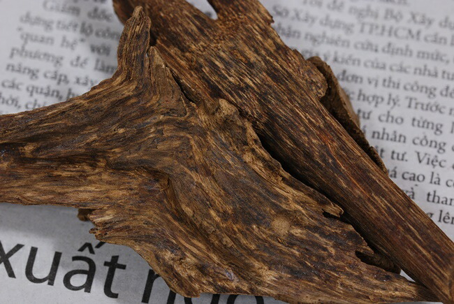 沈香 伽羅 香木 沈香線香 沈香精油 USB電気香炉 特別価格 沈香 伽羅