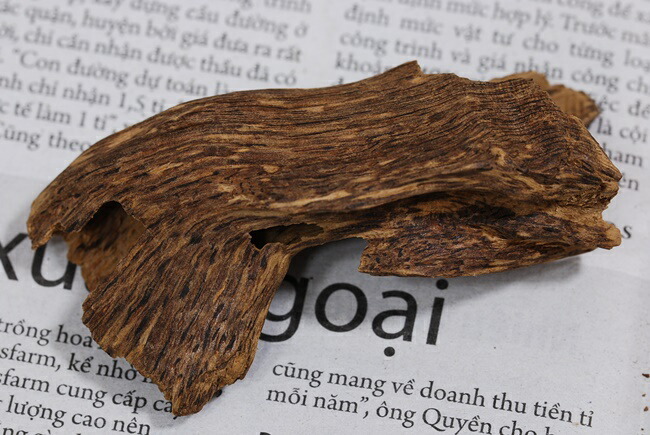 楽天市場】ベトナム産 天然沈香 高ランク甘味 5g 量り売り 沈水香木