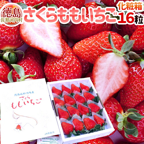 楽天市場】徳島県佐那河内産 ”さくらももいちご” 特大16粒 化粧箱