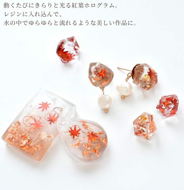 楽天市場】紅葉 ホログラム 封入 パーツ 1ケース レッド 赤 □ 秋 秋