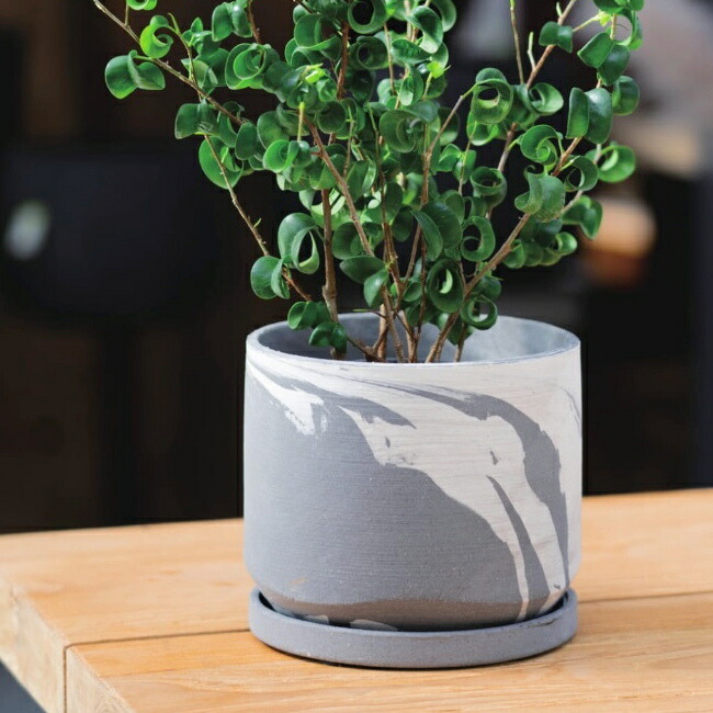 楽天市場】植木鉢 おしゃれ 陶器鉢 シエララウンド(2色) 3号 4号 6号