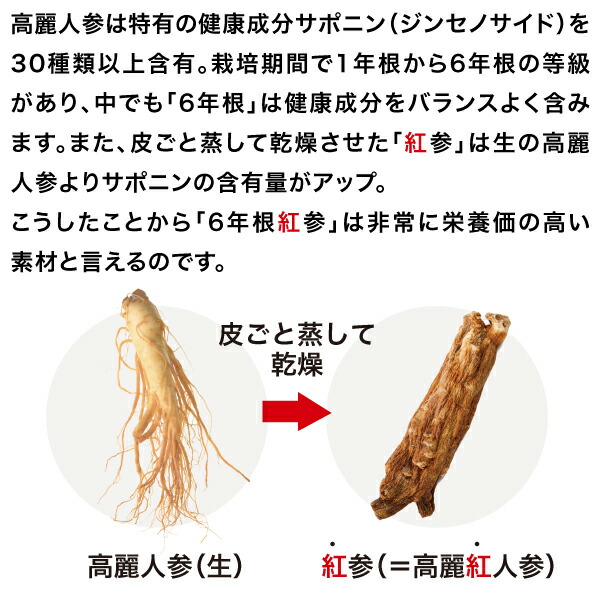 楽天市場】AFC 高麗紅人参濃縮液6年根 80日分 高麗紅人参 紅参