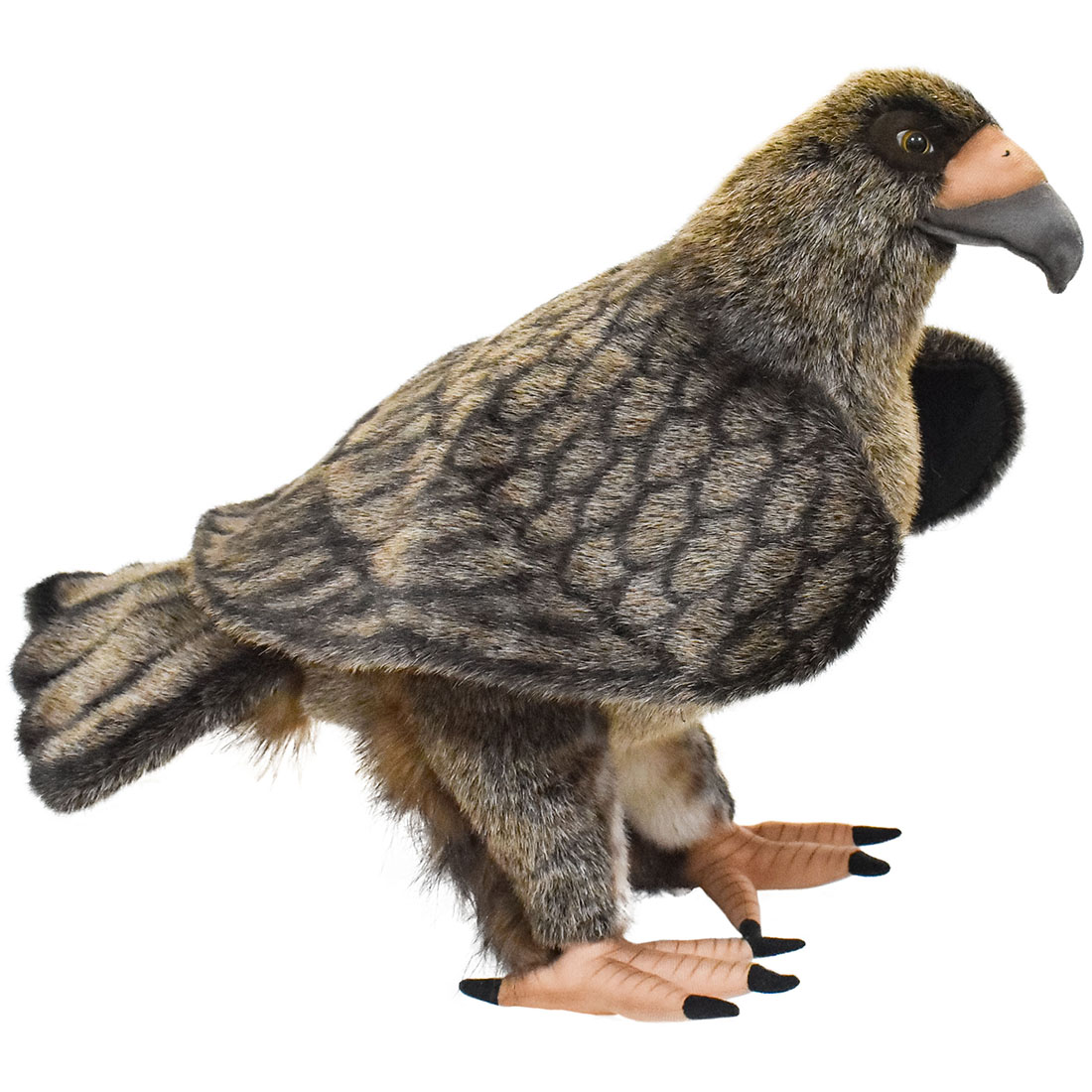 楽天市場】HANSA 4487 イヌワシ50 全長：50cm GOLDEN EAGLE BH4487