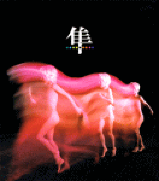 楽天市場】【オリコン加盟店】送料無料□スピッツ CD【ハヤブサ】08/12