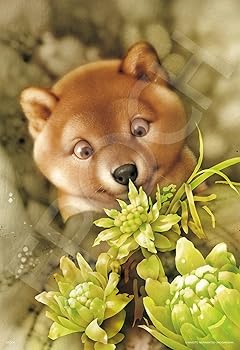 楽天市場】村松誠 パズルの通販